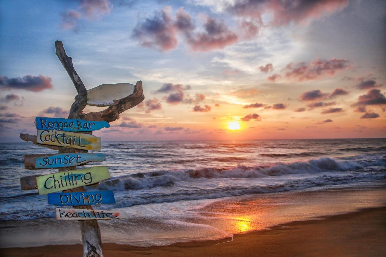 Backpack Beach Hostel & Reggae Bar Bussa المظهر الخارجي الصورة